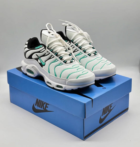Nike Air Max Plus TN ”Atmos”
