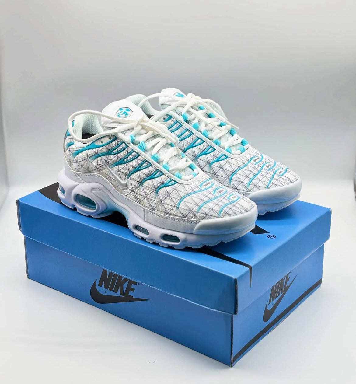 Nike Air Max Plus TN "Marseille"
